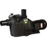 Hayward Pompa basenowa, typ RS II